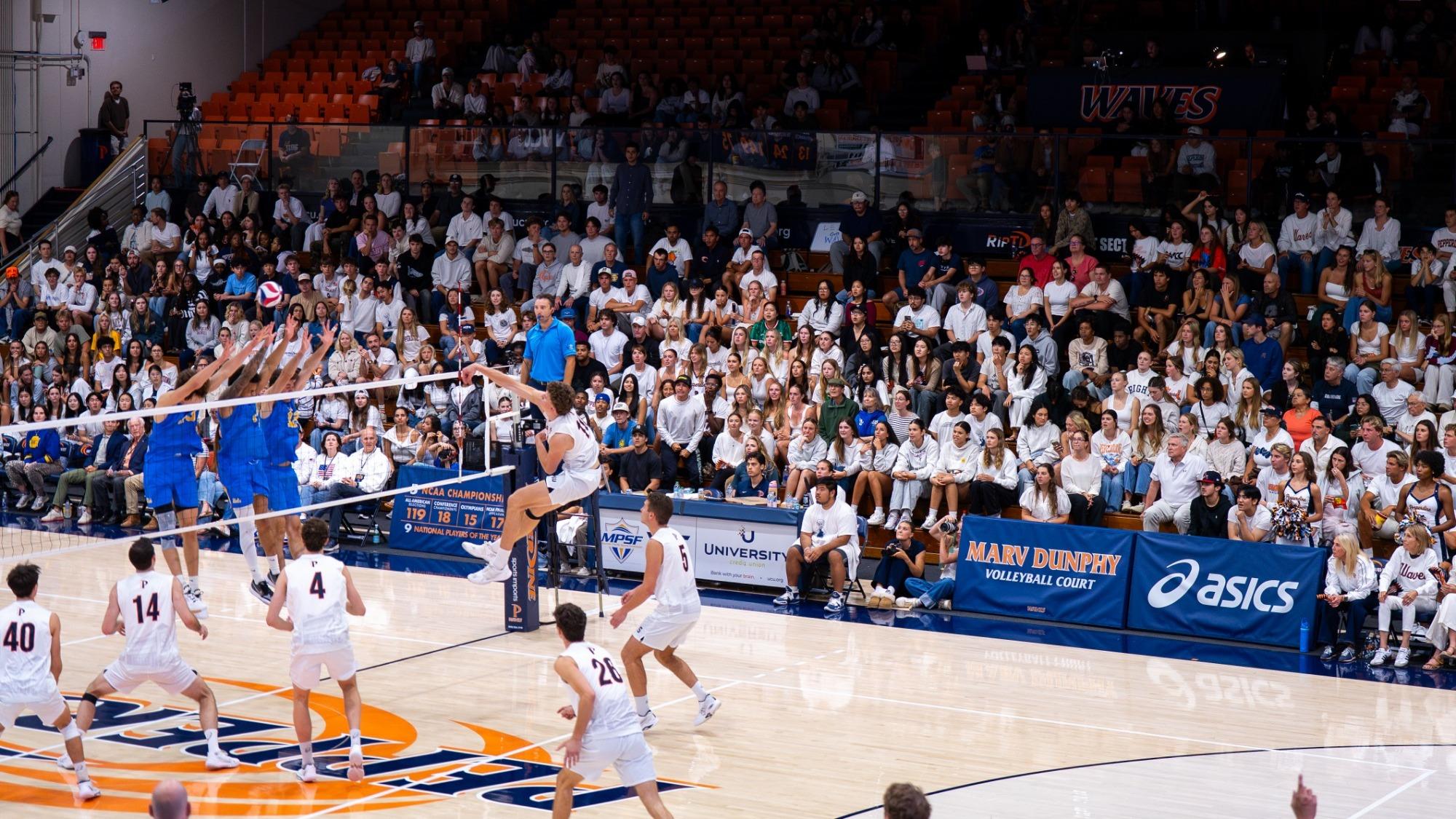 Pepperdine men's volleyball in action against UCLA at Firestone Fieldhouse